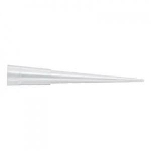Fisherbrand SureOne Clear Graduated Non-Sterile 200μl Pipette Tips (Pack of 1000)