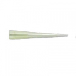 Fisherbrand SureOne Clear Racked Graduated Sterile 200μl Pipette Tips (Pack of 960)