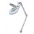 Daray Professional LED Magnifying Light