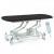 SEERS Medical Large Electric Therapy Hygiene Table