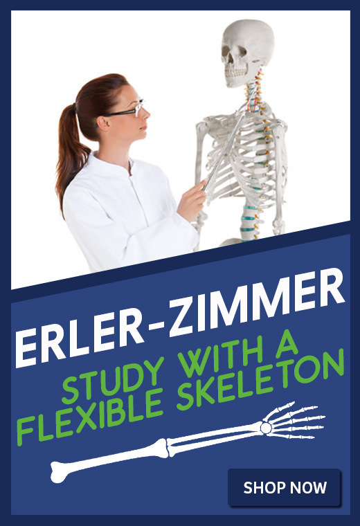 Erler-Zimmer Flexible Skeletons