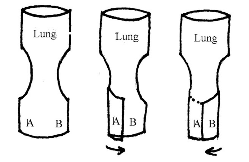 Simulaids Face Shield/Lung System How To Use