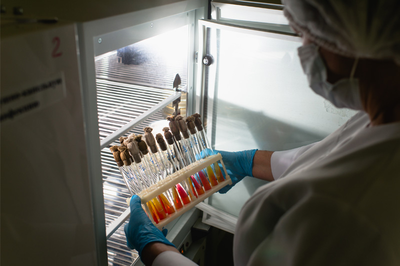 Medical Fridges MedicalSupplies.co.uk