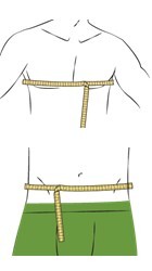 Size measurement of the chest and waist