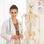 Best Skeletons for Medical Students 2023