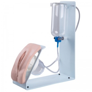 Catheterisation Female Simulator BASIC - MedicalSupplies.co.uk
