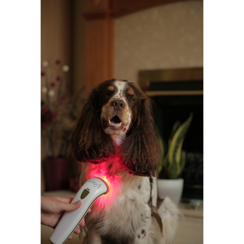 LED Infrared Pet Therapy Device