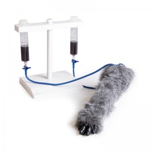Erler-Zimmer Canine Leg IV Injection Trainer