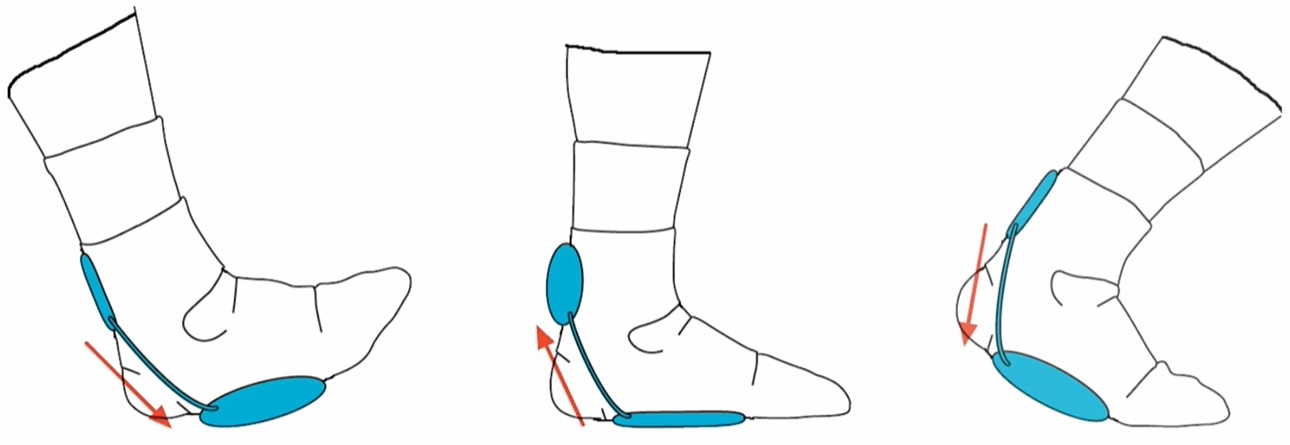 Twin Interconnected AirHeel Cells work to pulsate and massage the foot on the in and out step Interconnected AirHeel Cells