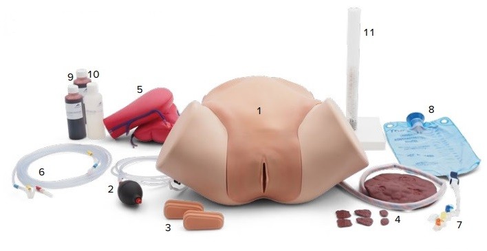 What's included with the P97 PRO Postpartum Unit? Postpartum Simulation Unit