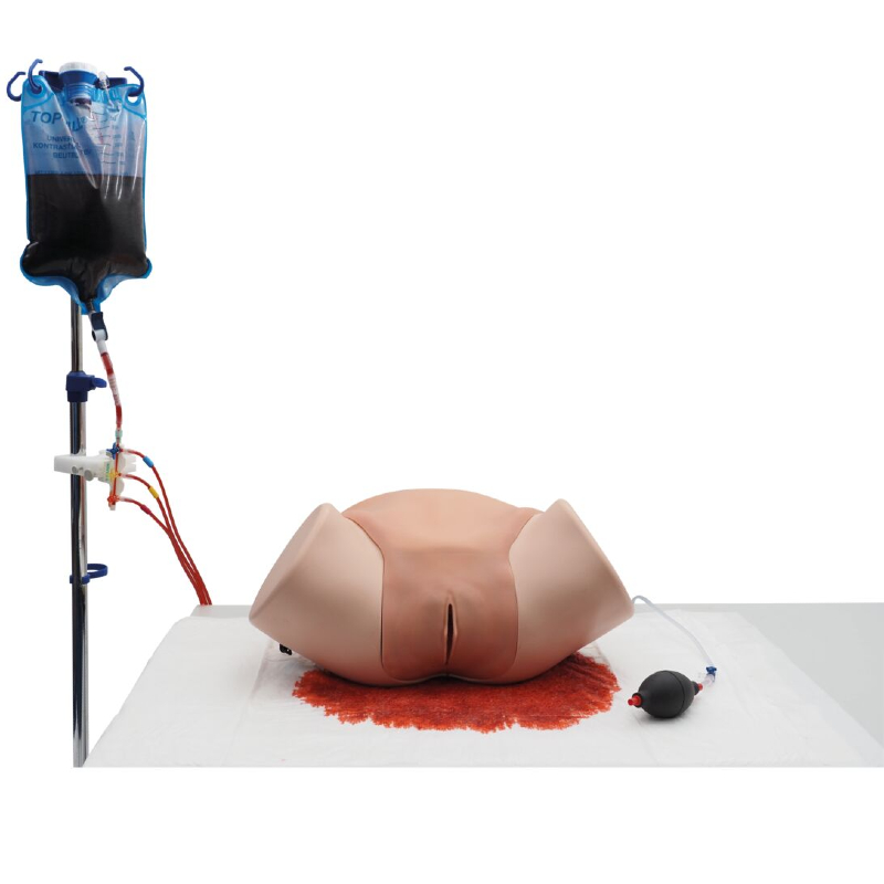 Postpartum P97 Training Simulator - MedicalSupplies.co.uk