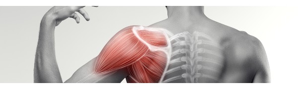 The Jura Shoulder Sling Helps To Reduce Pain