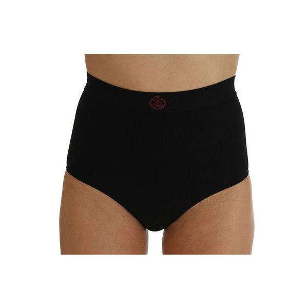 ladies high waisted briefs