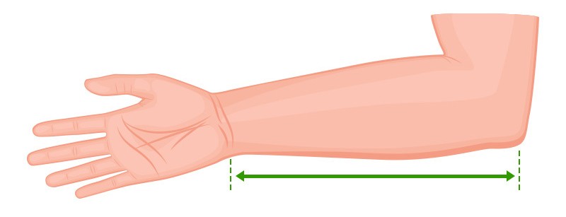 Arm Sling Forearm Measurement Guide
