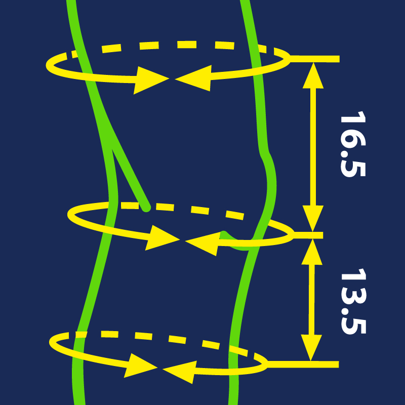 how to measure for the oppo knee support 2321