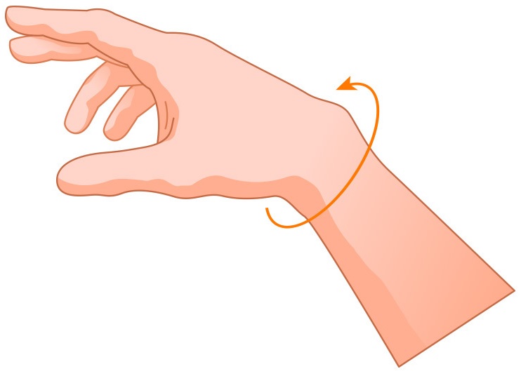 Please measure the bony part of the wrist as indicated Measure the bony part of the wrist as indicated
