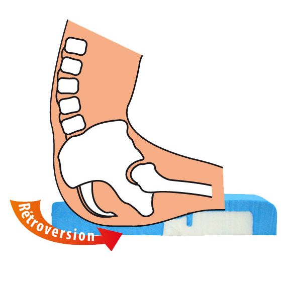 systam viscoflex plus bariatric insert ischia ischum