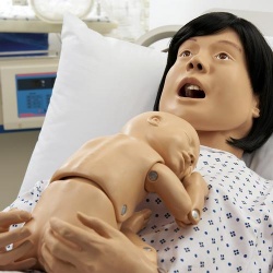 Basic Lucy Maternal and Neonatal Birthing Simulator