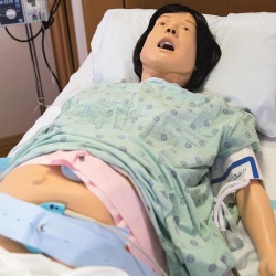 Complete Lucy Maternal and Neonatal Birthing Simulator