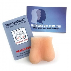 Erler-Zimmer Testicle Self-Examination Simulator Model