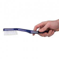 3B Scientific Giant Toothbrush for Dental Care Model