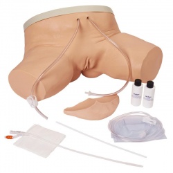 Life/Form Female Catheterisation Simulator