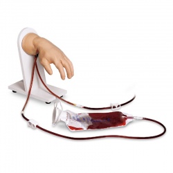 Life/Form Advanced IV Injection Hand Trainer