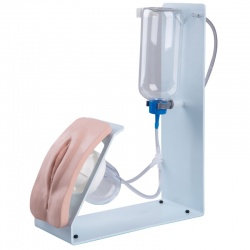 Catheterisation Female Simulator BASIC