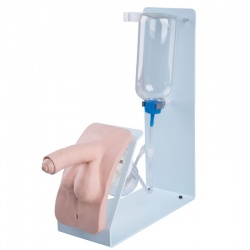 Catheterisation Male Simulator BASIC