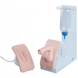 Catheterisation Male and Female Simulator Set BASIC