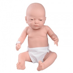 3B Scientific Baby Care Model W17000/W17001