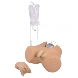 Erler-Zimmer Catheterisation Trainer with Male and Female Genital Inserts