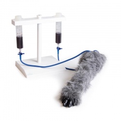 Erler-Zimmer Canine Leg IV Injection Trainer