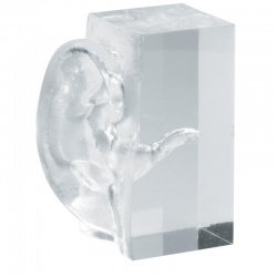 Erler-Zimmer Transparent Ear Model Block