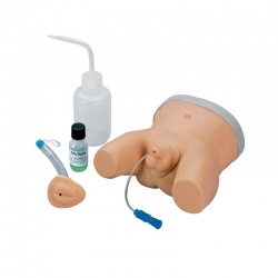 Infant Male and Female Catheterisation Trainer