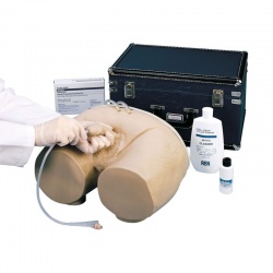 Male and Female Catheterisation Simulator