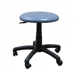 Mobile Adjustable Therapy Stool