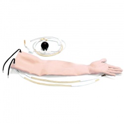 Replacement Skin with 3 Artery Sections for Arterial Puncture Arm