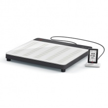 Seca 651 EMR-Validated Flat Scale