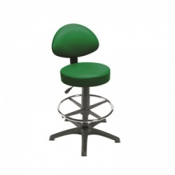 Sunflower Medical Green Gas-Lift Stool with Back Rest, Foot Ring and Glides