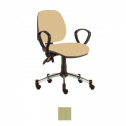 Sunflower Medical Pastel Green Mid-Back Twin-Lever Intervene Consultation Chair with Armrests and Chrome Base