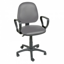 Sunflower Medical Grey Gas-Lift Chair with Arm Rests