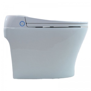 Washloo Premier All-In-One Smart Bidet Toilet